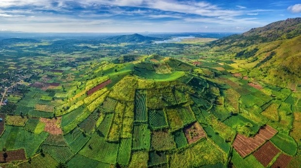 Một đội thanh niên tình nguyện gồm 11 thành viên đến từ các tỉnh, TP như sau: Kon Tum; Bình Phước; Tây Ninh; Bình Dương; Gia Lai; Bà Rịa  (ảnh 1)