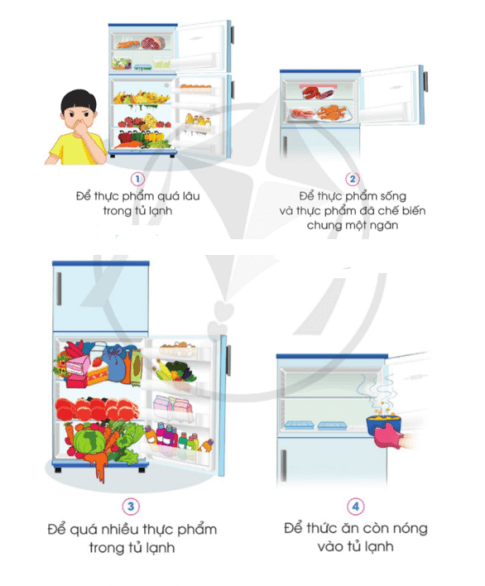 Công nghệ lớp 5 Cánh diều Bài 7: Sử dụng tủ lạnh