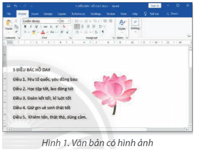 Tin học lớp 4 Chân trời sáng tạo Bài 8: Chèn hình ảnh, sao chép, di chuyển, xóa văn bản