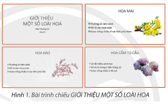 Tin học lớp 4 Chân trời sáng tạo Bài 9: Bài trình chiếu của em