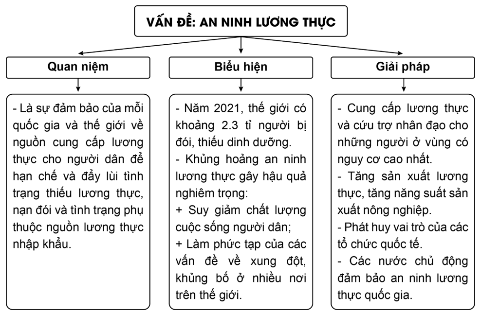 Hãy lựa chọn một vấn đề an ninh toàn cầu và hoàn thành thông tin vào sơ đồ dưới đây. (ảnh 2)