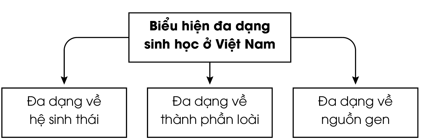 Hoàn thành sơ đồ khái quát về biểu hiện đa dạng sinh vật