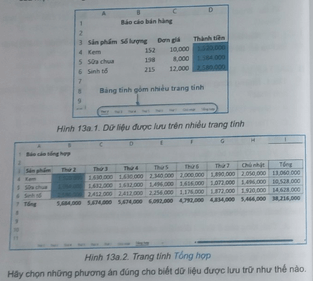 Hình 13a.1 và Hình 13a.2 minh họa một bảng tính lưu trữ dữ liệu bán hàng 