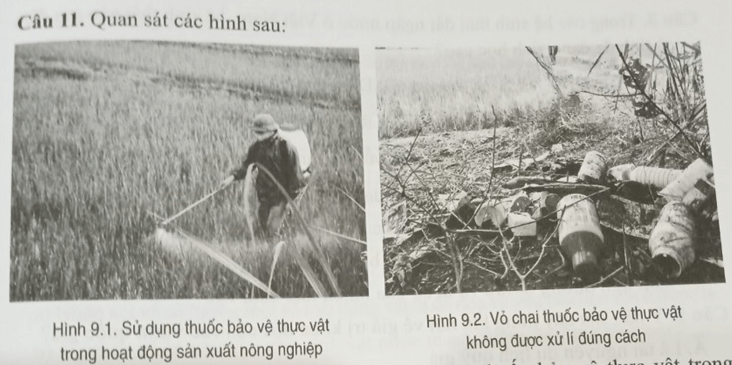 Quan sát các hình sau Cho biết việc bón phân hoá học hay sử dụng thuốc