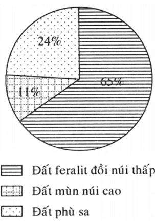 Dựa vào bảng số liệu sau Vẽ biểu đồ thể hiện cơ cấu diện tích các nhóm đất