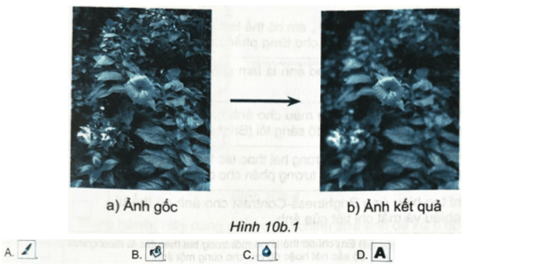 Quan sát Hình 10b.1 và cho biết ảnh kết quả thu được sau khi sử dụng