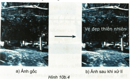 Thực hành: Hãy dùng phần mềm chỉnh sửa ảnh để xử lí độ sáng