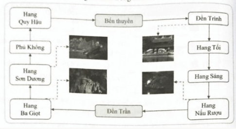 Em hãy tìm kiếm hình ảnh trên Internet và tạo một sơ đồ tham quan Quần thể