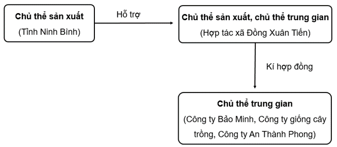 SBT Kinh tế Pháp luật 10 Bài 2 (Cánh diều): Các chủ thể của nền kinh tế  (ảnh 1)