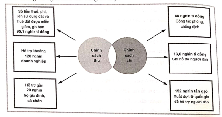 SBT Kinh tế Pháp luật 10 Bài 5 (Cánh diều): Ngân sách nhà nước  (ảnh 1)