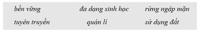 Điền các từ hoặc cụm từ thích hợp cho sẵn vào chỗ trống  để hoàn thành đoạn thông tin về công tác quản lí 