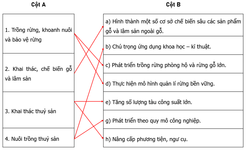 Nối các ý ở cột A với các ý ở cột B cho phù hợp với xu hướng phát triển ngành lâm nghiệp