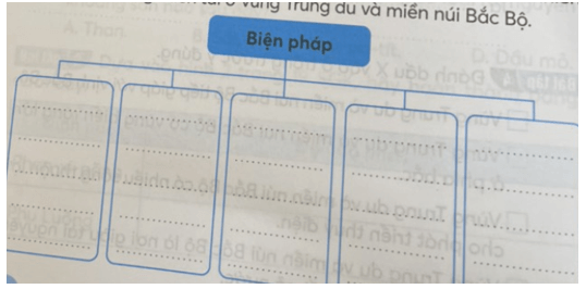 Vở bài tập Lịch Sử và Địa Lí lớp 4 Kết nối tri thức Bài 4: Thiên nhiên vùng Trung du và miền núi Bắc Bộ