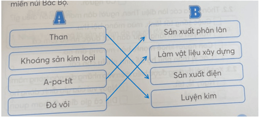 Vở bài tập Lịch Sử và Địa Lí lớp 4 Kết nối tri thức Bài 5: Dân cư và hoạt động sản xuất ở vùng Trung du và miền núi Bắc Bộ