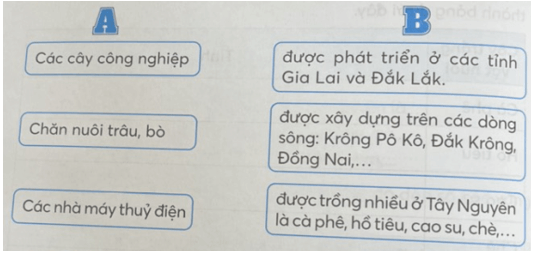 Vở bài tập Lịch Sử và Địa Lí lớp 4 Kết nối tri thức Bài 21: Dân cư và hoạt động sản xuất ở vùng Tây Nguyên