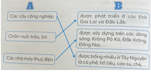 Vở bài tập Lịch Sử và Địa Lí lớp 4 Kết nối tri thức Bài 21: Dân cư và hoạt động sản xuất ở vùng Tây Nguyên