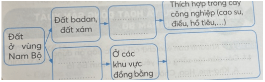 Vở bài tập Lịch Sử và Địa Lí lớp 4 Kết nối tri thức Bài 24: Thiên nhiên vùng Nam Bộ