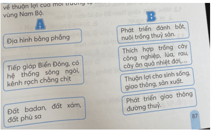 Vở bài tập Lịch Sử và Địa Lí lớp 4 Kết nối tri thức Bài 24: Thiên nhiên vùng Nam Bộ