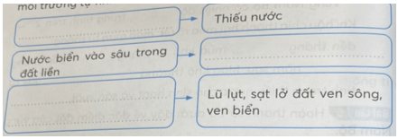 Vở bài tập Lịch Sử và Địa Lí lớp 4 Kết nối tri thức Bài 24: Thiên nhiên vùng Nam Bộ