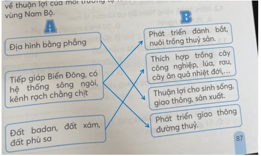 Vở bài tập Lịch Sử và Địa Lí lớp 4 Kết nối tri thức Bài 24: Thiên nhiên vùng Nam Bộ