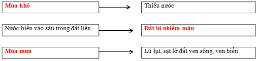 Vở bài tập Lịch Sử và Địa Lí lớp 4 Kết nối tri thức Bài 24: Thiên nhiên vùng Nam Bộ