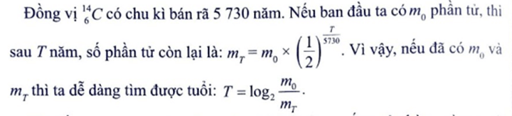 Viện Sử học vừa khai quật một di tích lịch sử và thu về n cổ vật hữu cơ