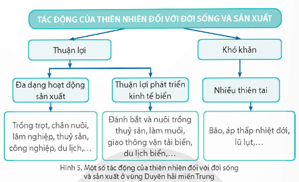 Vở bài tập Lịch Sử và Địa Lí lớp 4 Chân trời sáng tạo Bài 14: Thiên nhiên vùng duyên hải miền Trung