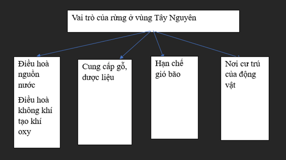 Vở bài tập Lịch Sử và Địa Lí lớp 4 Chân trời sáng tạo Bài 19: Thiên nhiên vùng Tây Nguyên