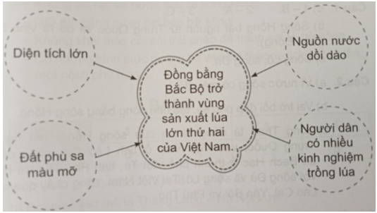 Vở bài tập Lịch Sử và Địa Lí lớp 4 Cánh diều Bài 7: Dân cư, hoạt động sản xuất và một số nét văn hóa ở vùng Đồng bằng Bắc Bộ