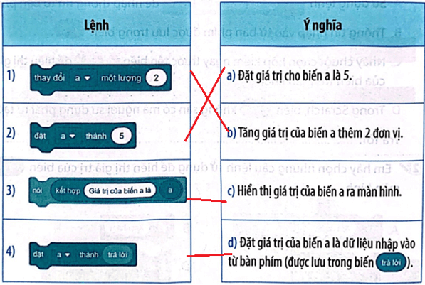 Vở bài tập Tin học lớp 5 Kết nối tri thức Bài 14: Sử dụng biến trong chương trình