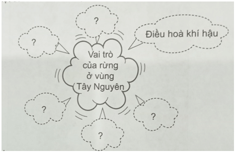 Vở bài tập Lịch Sử và Địa Lí lớp 4 Cánh diều Bài 15: Thiên nhiên vùng Tây Nguyên