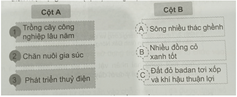 Vở bài tập Lịch Sử và Địa Lí lớp 4 Cánh diều Bài 16: Dân cư, hoạt động sản xuất và một số nét văn hóa ở vùng Tây Nguyên