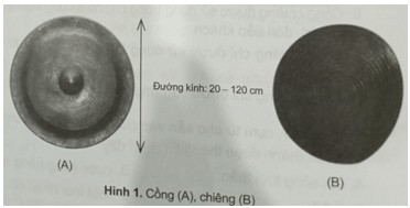 Vở bài tập Lịch Sử và Địa Lí lớp 4 Cánh diều Bài 17: Lễ hội Cồng chiêng Tây Nguyên