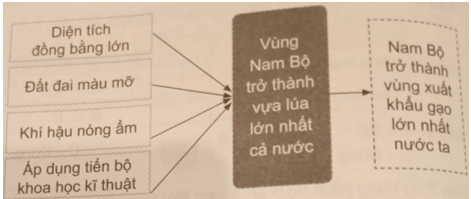 Vở bài tập Lịch Sử và Địa Lí lớp 4 Cánh diều Bài 19: Dân cư, hoạt động sản xuất và một số nét văn hóa ở vùng Nam Bộ