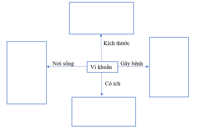 Vở bài tập Khoa học lớp 5 Kết nối tri thức Bài 21: Ôn tập chủ đề Vi khuẩn