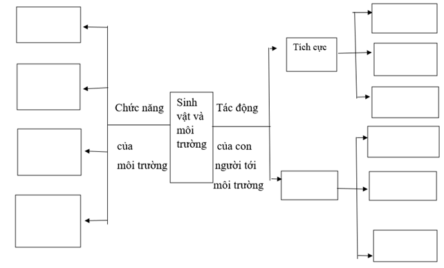 Vở bài tập Khoa học lớp 5 Kết nối tri thức Bài 30: Ôn tập chủ đề Sinh vật và môi trường