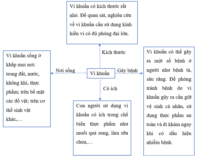 Vở bài tập Khoa học lớp 5 Kết nối tri thức Bài 21: Ôn tập chủ đề Vi khuẩn