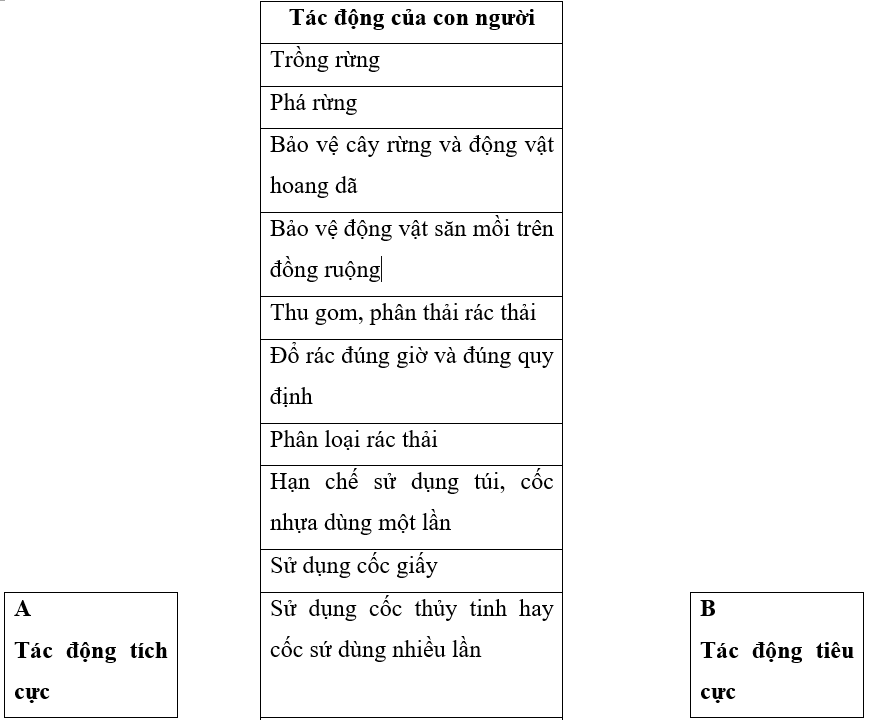 Vở bài tập Khoa học lớp 5 Kết nối tri thức Bài 29: Tác động của con người và một số biện pháp bảo vệ môi trường