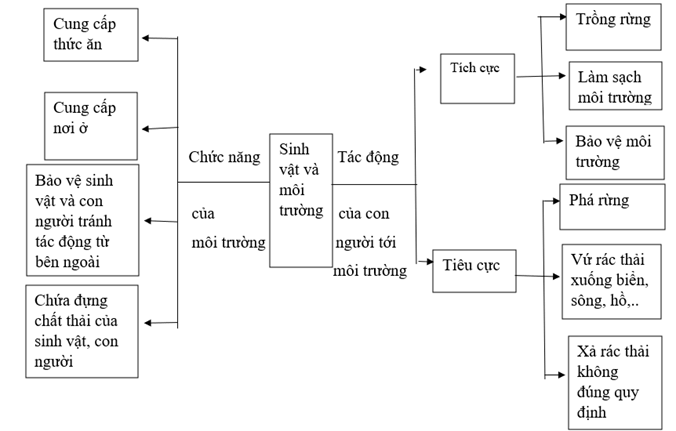 Vở bài tập Khoa học lớp 5 Kết nối tri thức Bài 30: Ôn tập chủ đề Sinh vật và môi trường