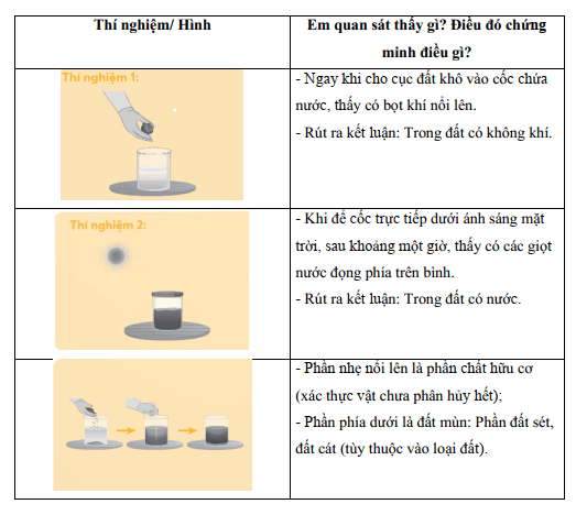 Vở bài tập Khoa học lớp 5 Chân trời sáng tạo Bài 1: Thành phần và vai trò của đất 