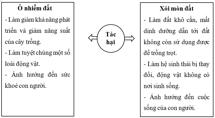 Vở bài tập Khoa học lớp 5 Chân trời sáng tạo Bài 2: Ô nhiễm, xói mòn đất và bảo vệ môi trường đất 