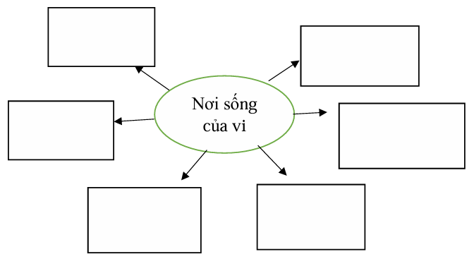 Vở bài tập Khoa học lớp 5 Chân trời sáng tạo Bài 18: Vi khuẩn quanh ta 