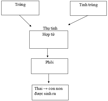 Vở bài tập Khoa học lớp 5 Chân trời sáng tạo Bài 15: Sự sinh sản của động vật 