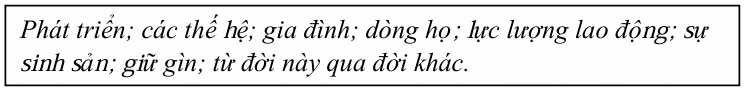 Vở bài tập Khoa học lớp 5 Chân trời sáng tạo Bài 23: Sự sinh sản ở người 