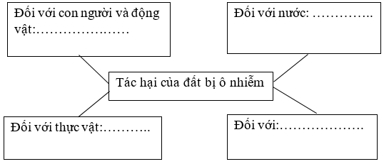 Vở bài tập Khoa học lớp 5 Cánh diều Bài 1: Đất và bảo vệ môi trường đất