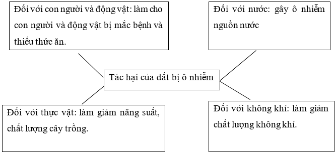 Vở bài tập Khoa học lớp 5 Cánh diều Bài 1: Đất và bảo vệ môi trường đất