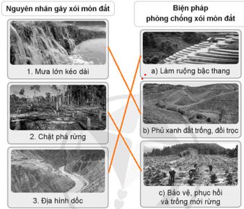 Vở bài tập Khoa học lớp 5 Cánh diều Bài 1: Đất và bảo vệ môi trường đất