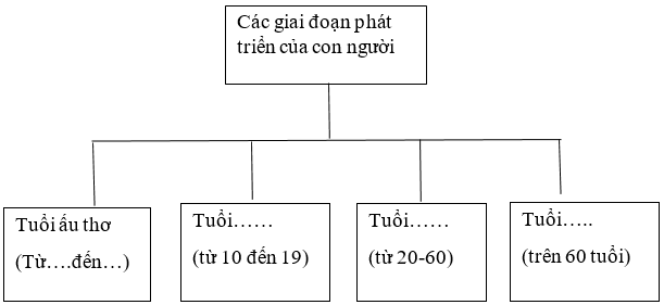 Vở bài tập Khoa học lớp 5 Cánh diều Bài 16: Quá trình phát triển của con người