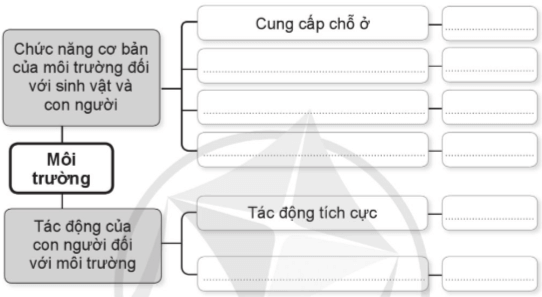 Vở bài tập Khoa học lớp 5 Cánh diều Ôn tập chủ đề Sinh vật và môi trường