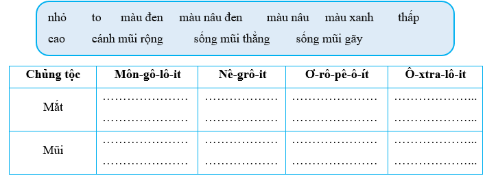 Vở bài tập Lịch Sử và Địa Lí lớp 5 Kết nối tri thức Bài 23: Dân số và các chủng tộc chính trên thế giới